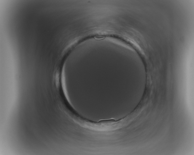 X0000111860019200908131508