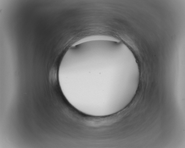 X0000111860021200908131508