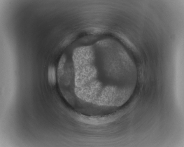 X0000111860022200908131508