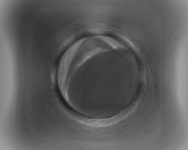 X0000111860023200908131508