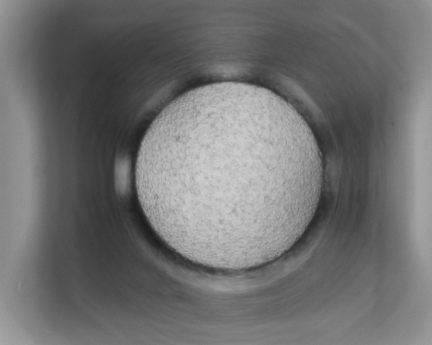 X0000111860024200908131508