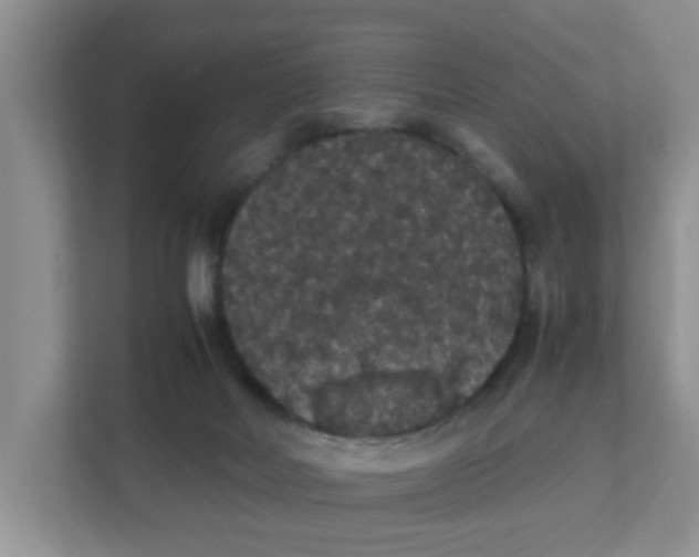 X0000111860026200908131508