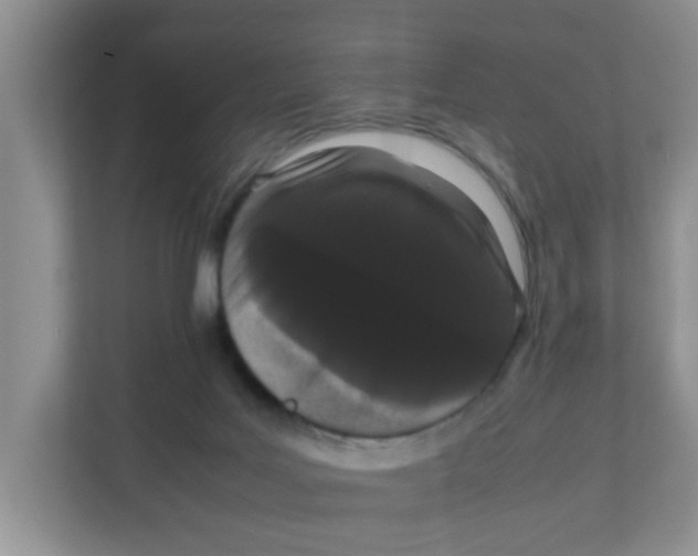 X0000111860027200908131508