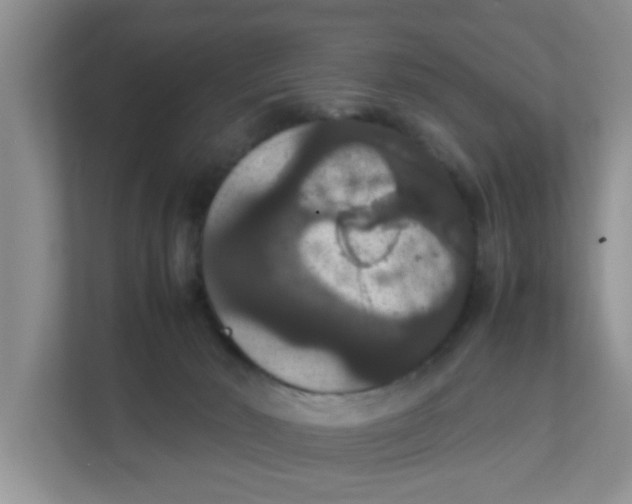X0000111860030200908131508