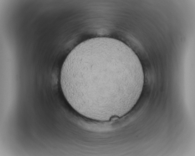 X0000111860032200908131508