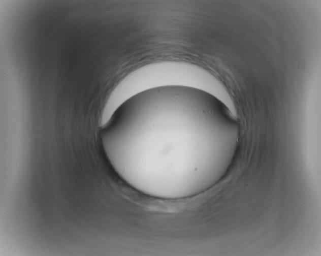X0000111860033200908131508