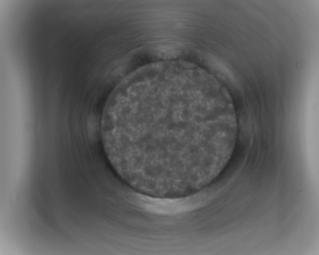 X0000111860034200908131508