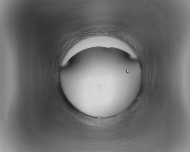 X0000111860035200908131508