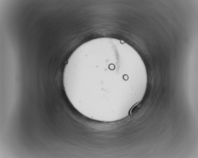 X0000111860036200908131508