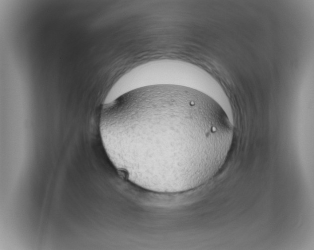 X0000111860037200908131508