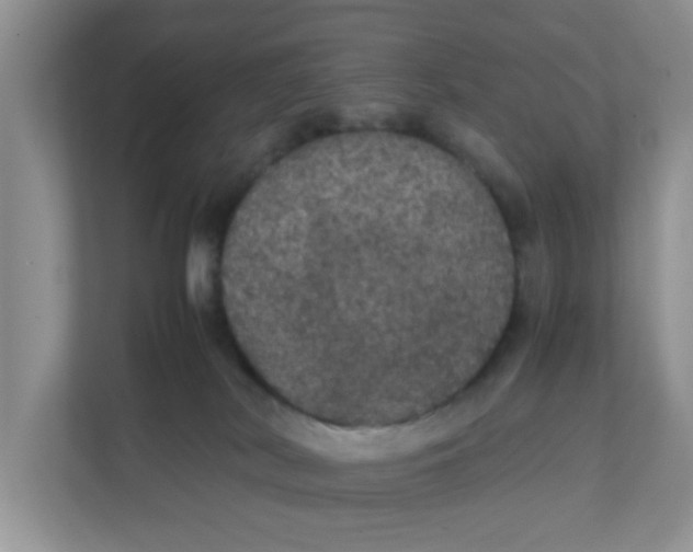 X0000111860038200908131508