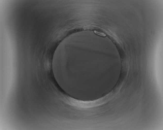 X0000111860039200908131508