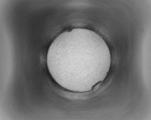 X0000111860040200908131508