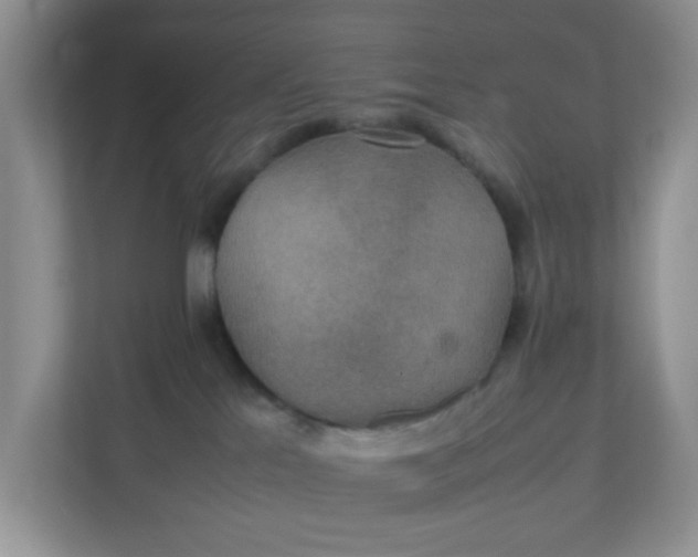 X0000111860041200908131508