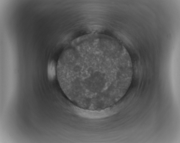 X0000111860042200908131508