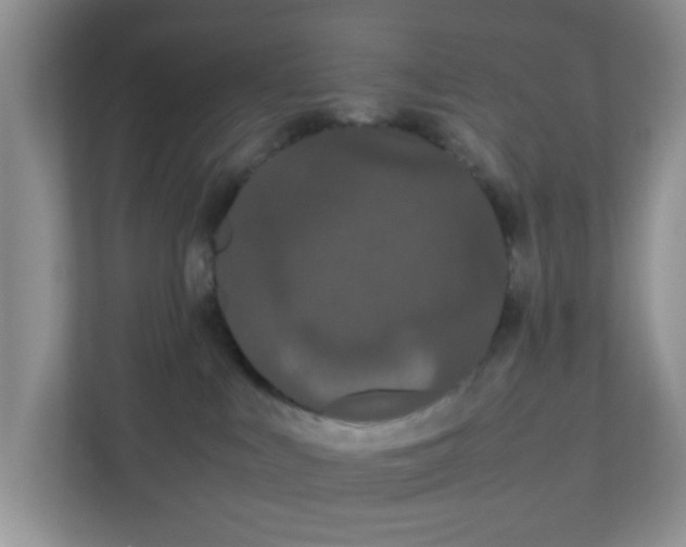 X0000111860043200908131508