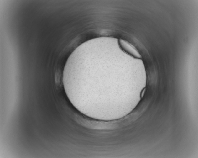 X0000111860044200908131508