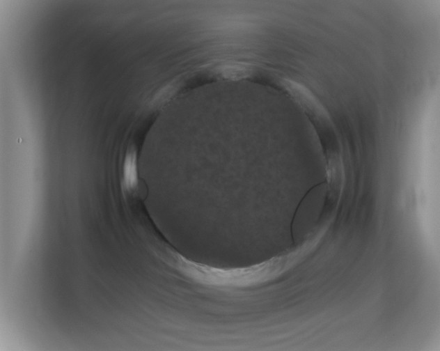 X0000111860046200908131508