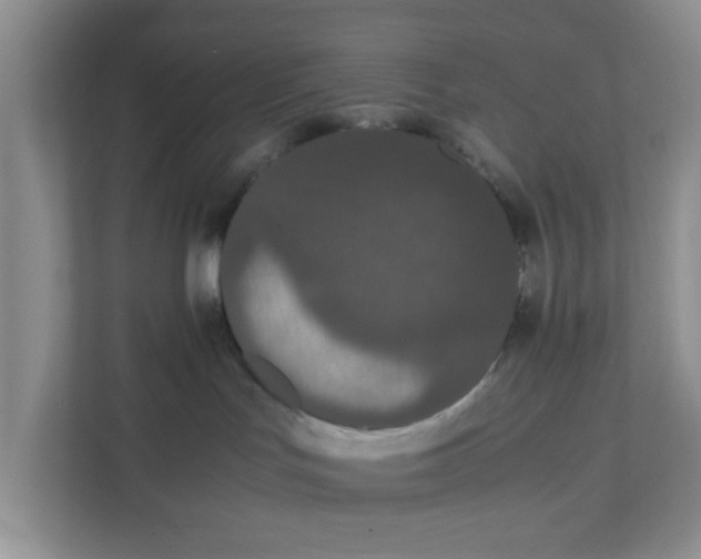 X0000111860047200908131508