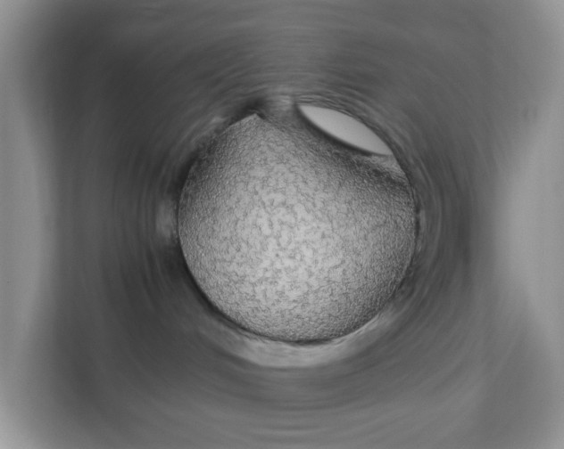 X0000111860048200908131508