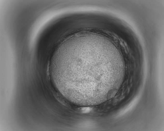 X0000111860050200908131507