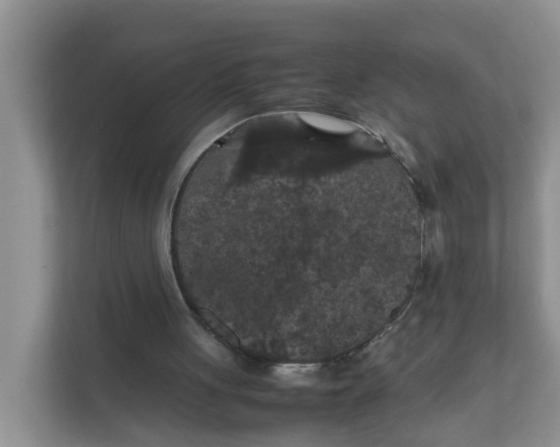 X0000111860051200908131507