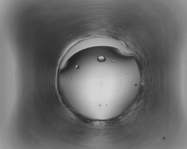 X0000111860052200908131507