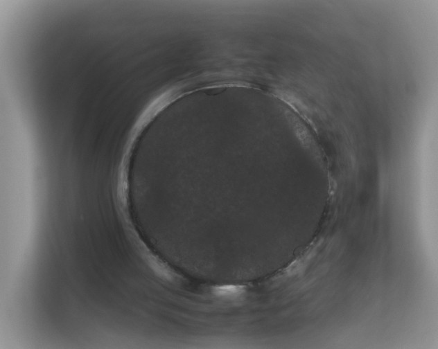 X0000111860053200908131507