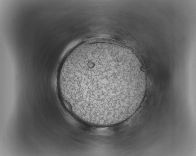 X0000111860054200908131507
