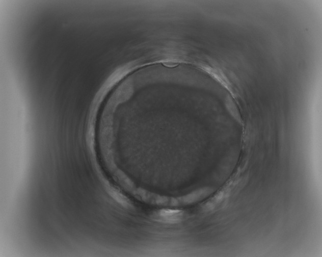 X0000111860055200908131507