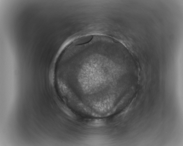 X0000111860056200908131507