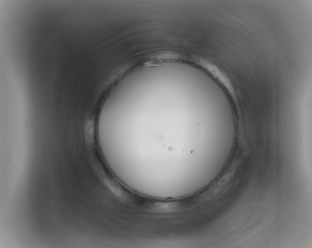 X0000111860057200908131507