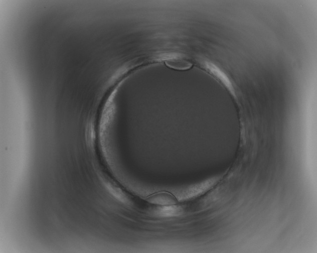 X0000111860059200908131507