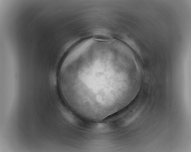 X0000111860060200908131507