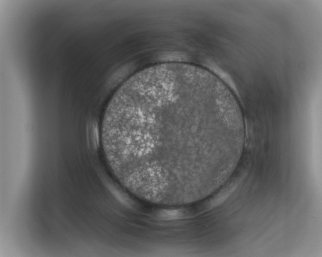 X0000111860061200908131507