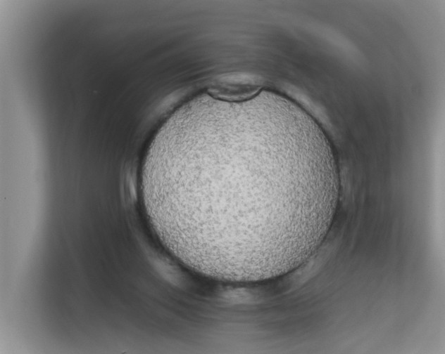 X0000111860062200908131507