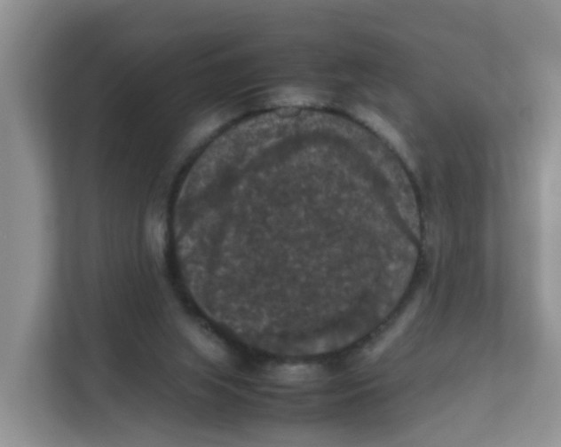 X0000111860063200908131507