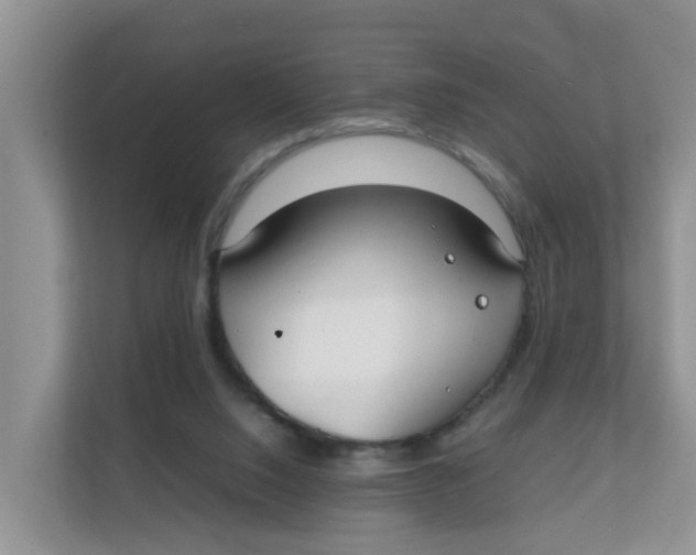 X0000111860064200908131507