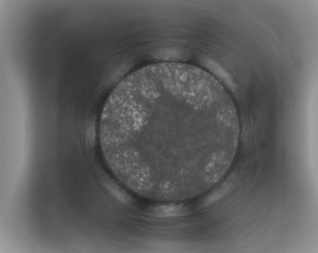 X0000111860065200908131507