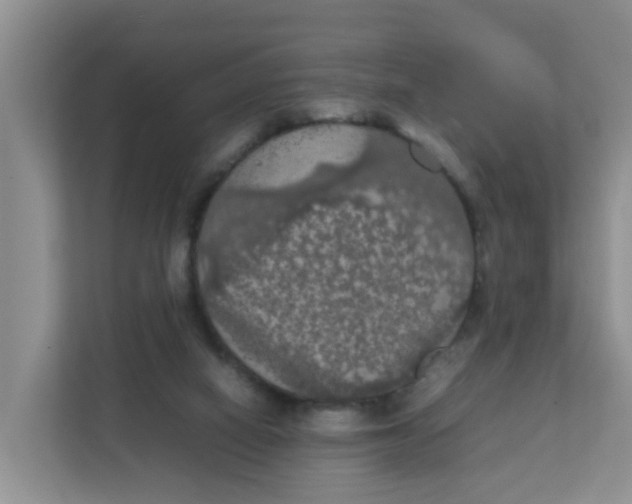 X0000111860066200908131507