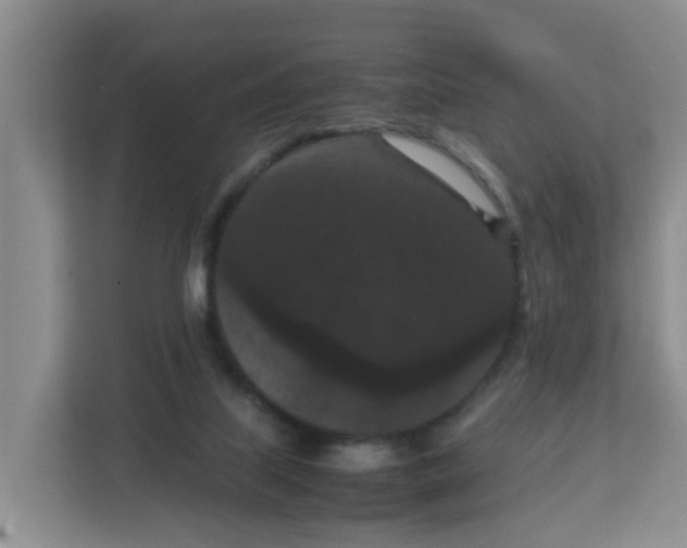 X0000111860067200908131507