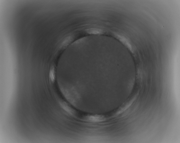 X0000111860069200908131507