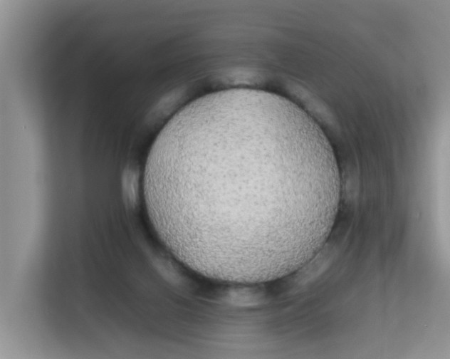 X0000111860070200908131507