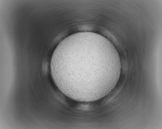 X0000111860071200908131507