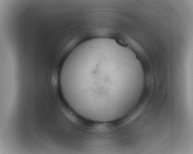 X0000111860072200908131507