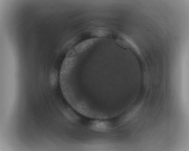 X0000111860073200908131507