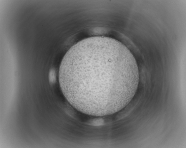 X0000111860075200908131507