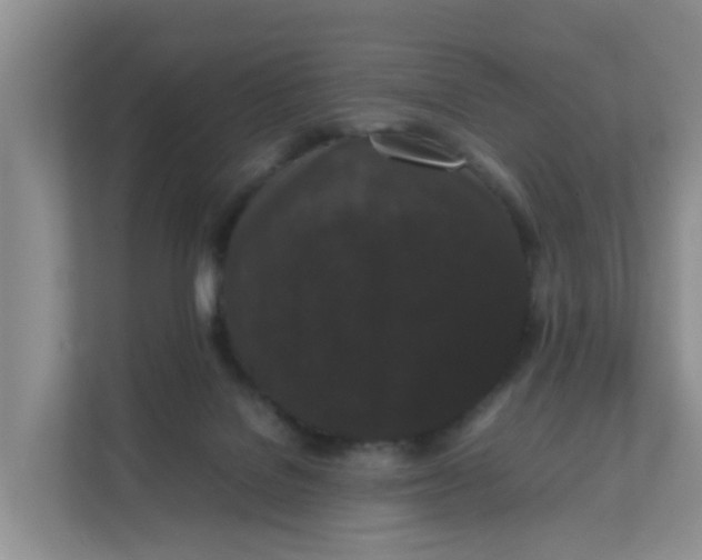 X0000111860076200908131507