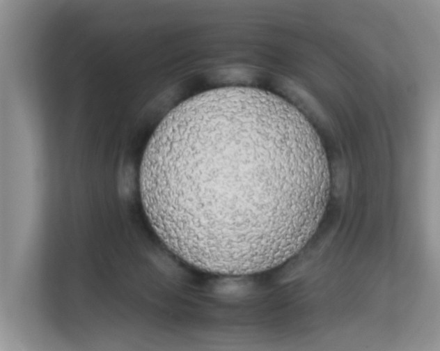 X0000111860077200908131507