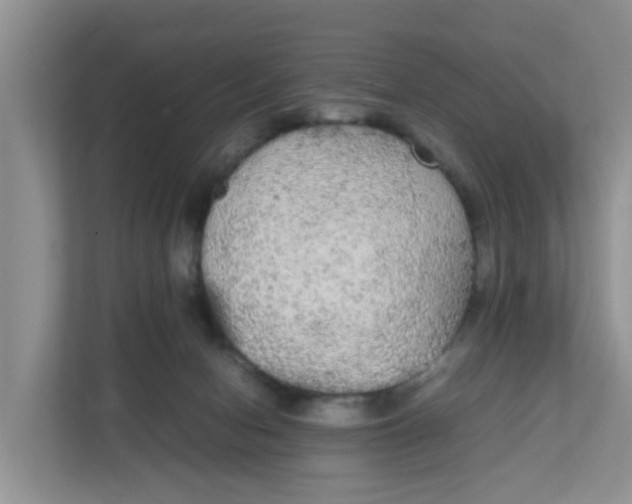 X0000111860078200908131507
